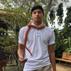 Meet your Posher, Boryalys